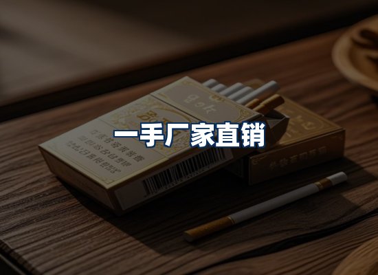 专业团队办公环境